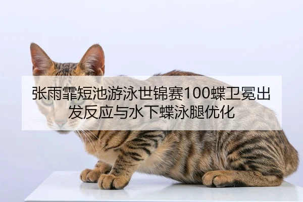 zhang-yu-fei-duan-chi-you-yong-shi-jin-sai-die-wei-mian-chu-fa-fan-ying-yu-shui-xia-die-yong-tui-you-hua-3-938.jpg